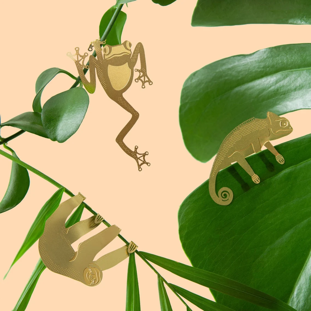 Skanto | Plant Dyr Dekorasjoner