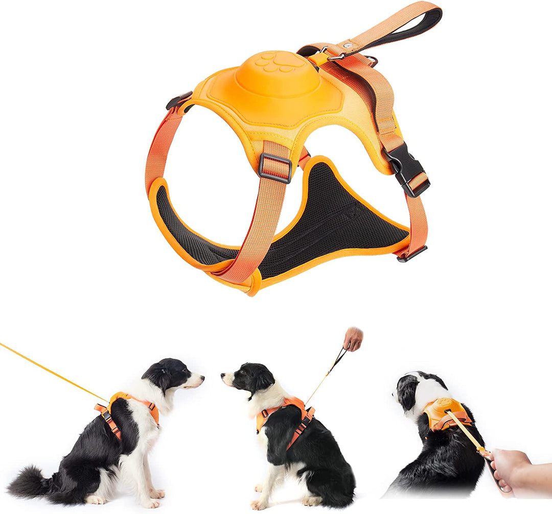 Skanto | mamymarket™ - Hundesele og sammenleggbar båndsett Alt-i-ett