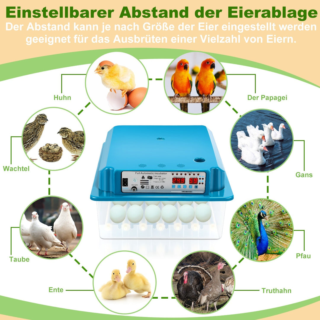 Brutautomat Fulle Automatisk Inkubator for Kyllinger 36 Egg | Skanto