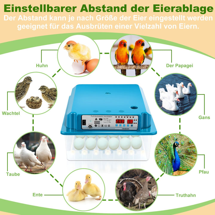 Brutautomat Fulle Automatisk Inkubator for Kyllinger 36 Egg | Skanto