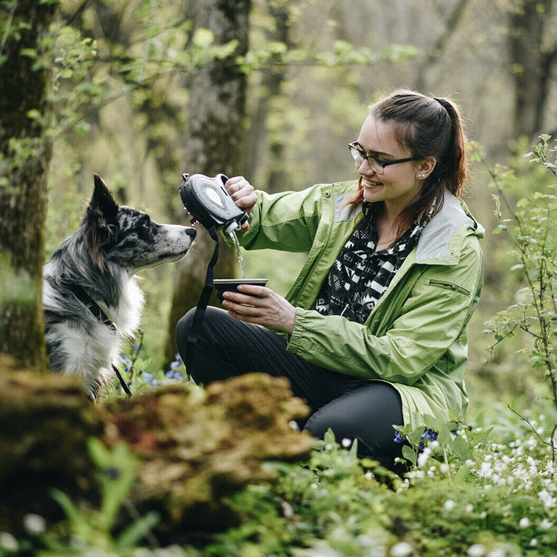 Skanto | 4 i 1 Hundekortlåser