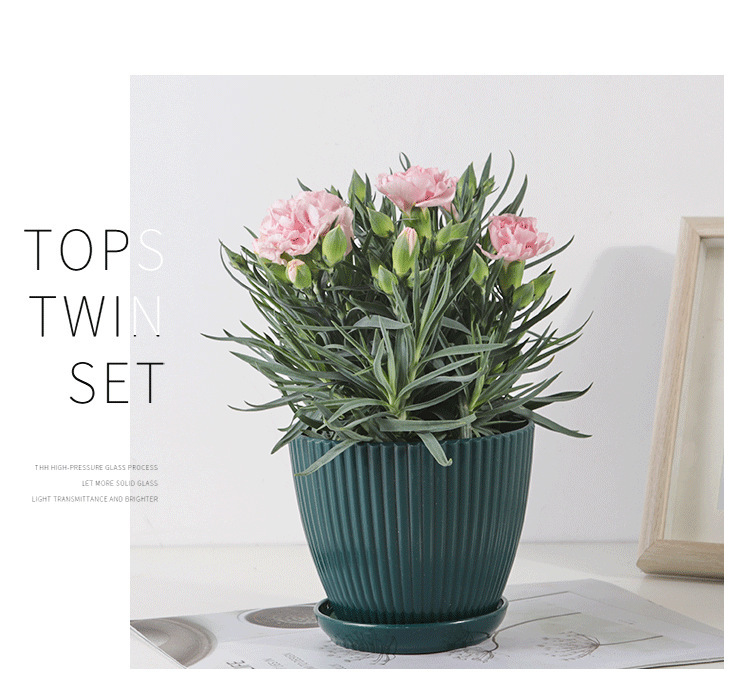 Skanto | Blomsterpotte med sporstruktur og skål – Robust plastpotte for planter
