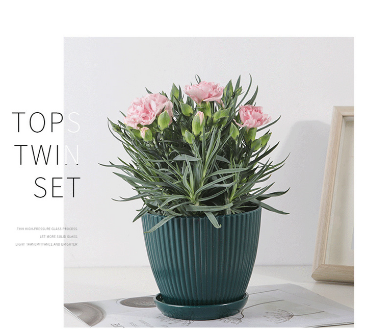Skanto | Blomsterpotte med sporstruktur og skål – Robust plastpotte for planter