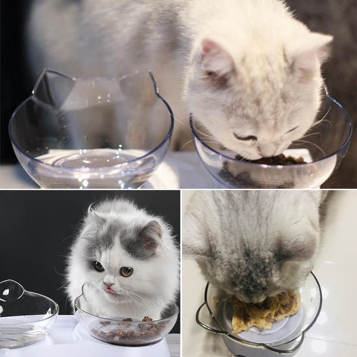 Fôrskål for katter | Skanto
