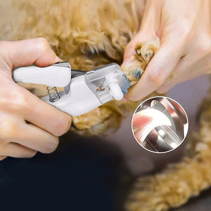 Skanto | Profesjonelle LED Lys Hundeklippere
