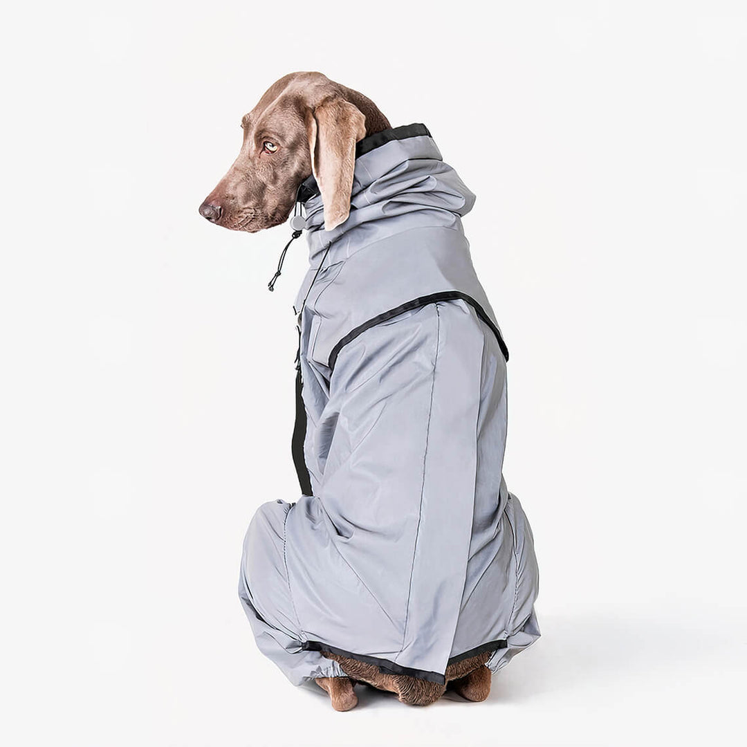Skanto | Allvær Vanntett Kule Hundetilbehør Regnjakke
