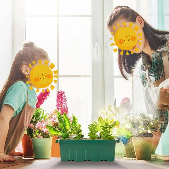 Saatsstarter-skåler med plantebelysning, 5 sett | Skanto