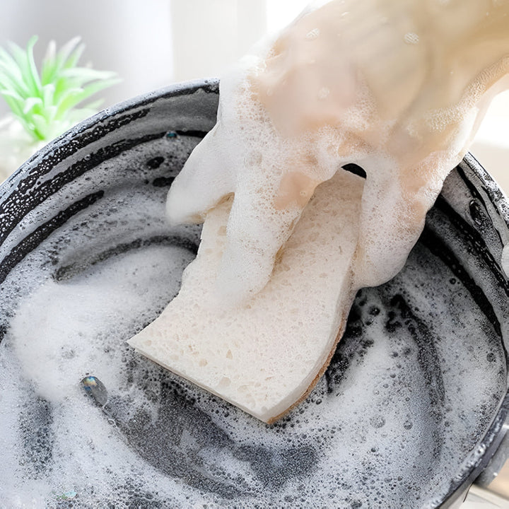 Skanto | Kokosfiber Naturlig Oppvasksvamp