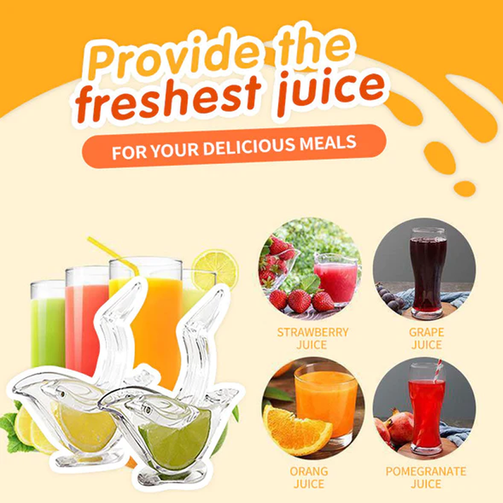Transparent Manual Juicer | Skanto