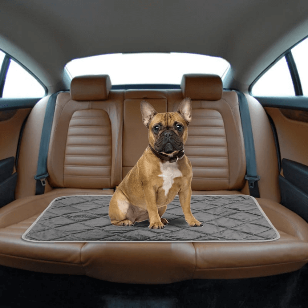 ToastyPaws Selvoppvarmende Pute for Hund
