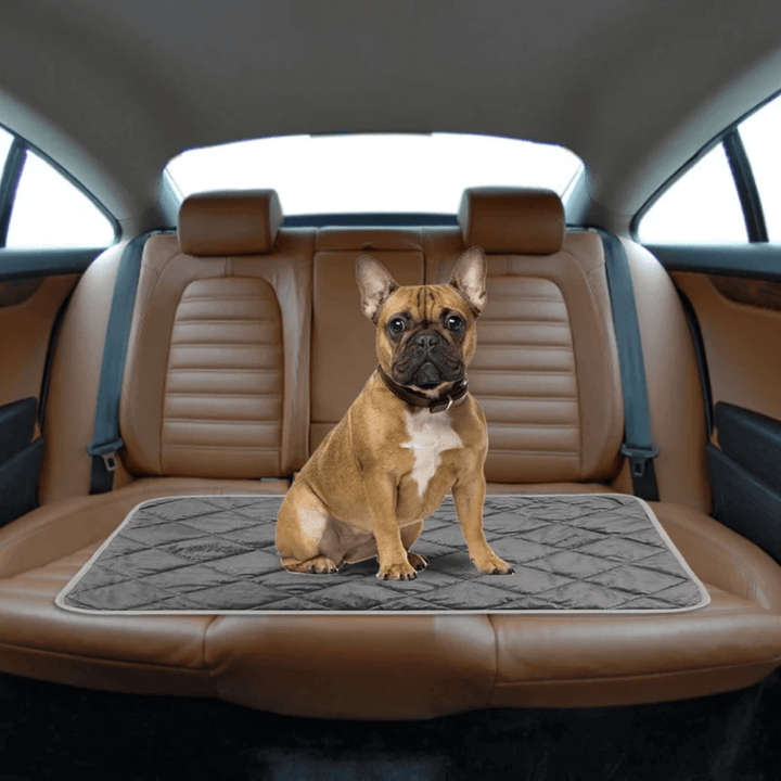 ToastyPaws Selvoppvarmende Pute for Hund