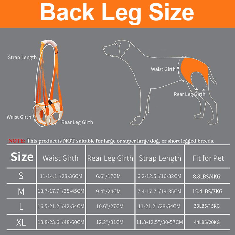 Skanto | Dog Support Lift Harness for ACL Rehab & Arthritis