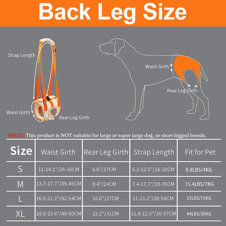 Skanto | Dog Support Lift Harness for ACL Rehab & Arthritis