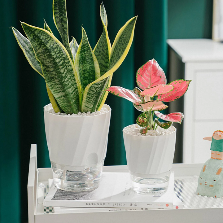Skanto | Selv vanning planter