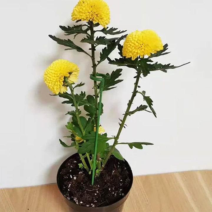Skanto | Plante støttestake