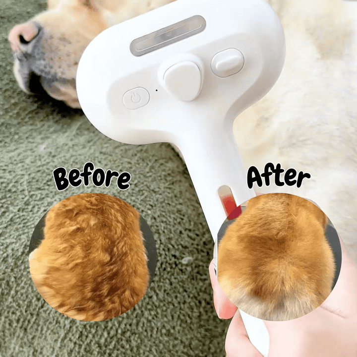 Skanto | DampfVacht Steam Brush – Skånsom pleie for hver hundepels