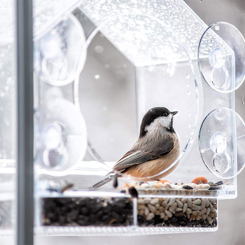 Smart Bird Feeder med Live Kamera | Skanto