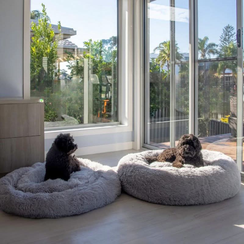 Skanto | PAWLOFT - Beroligende kjæledyrseng