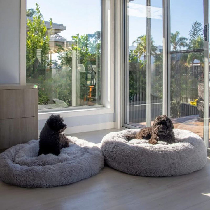 Skanto | PAWLOFT - Beroligende kjæledyrseng