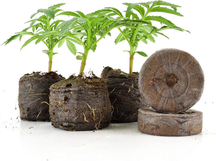 Skanto | Kokosfiber Torv Frøplante Pellets – Startpakke for Frøplante