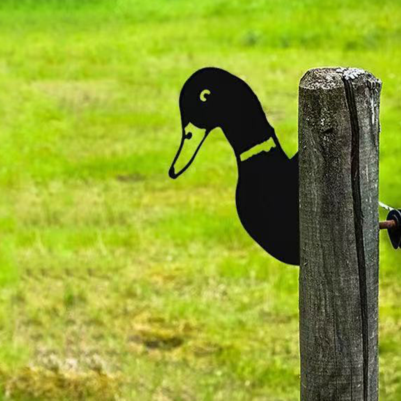 Norvo | Gård Dekorasjon – PeepFarm – realistisk Dyre Design – Hage Metall Kunst