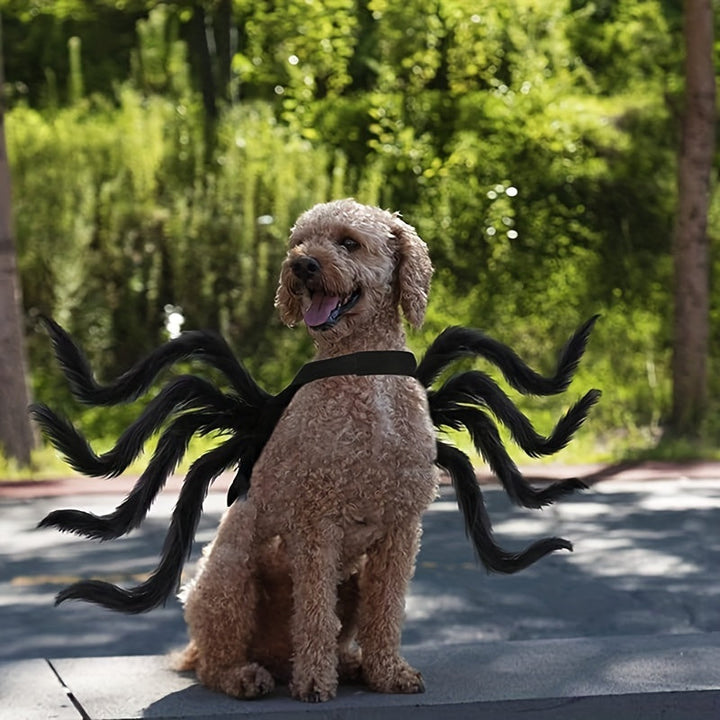 Skanto | Morsomt Pelshund Halloween Kostyme | Edderkopp Design