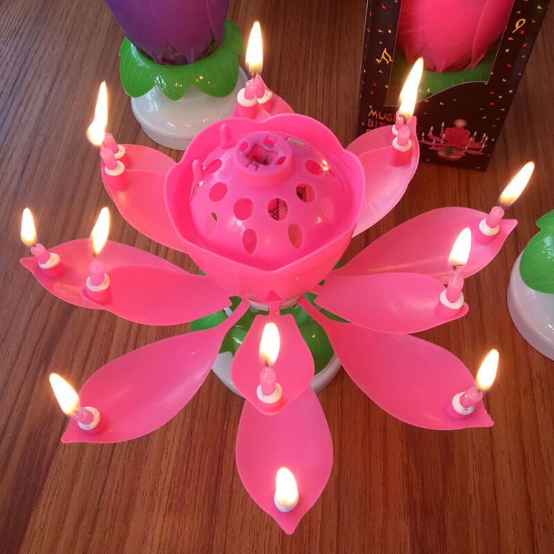 Skanto | 🎂Magical Flowers Birthday Candle