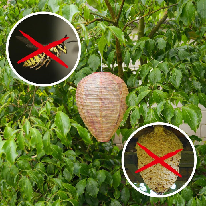Skanto | Vespebol Vernelys – Hengende Beskyttelsesnett Mot Veps og Insekter