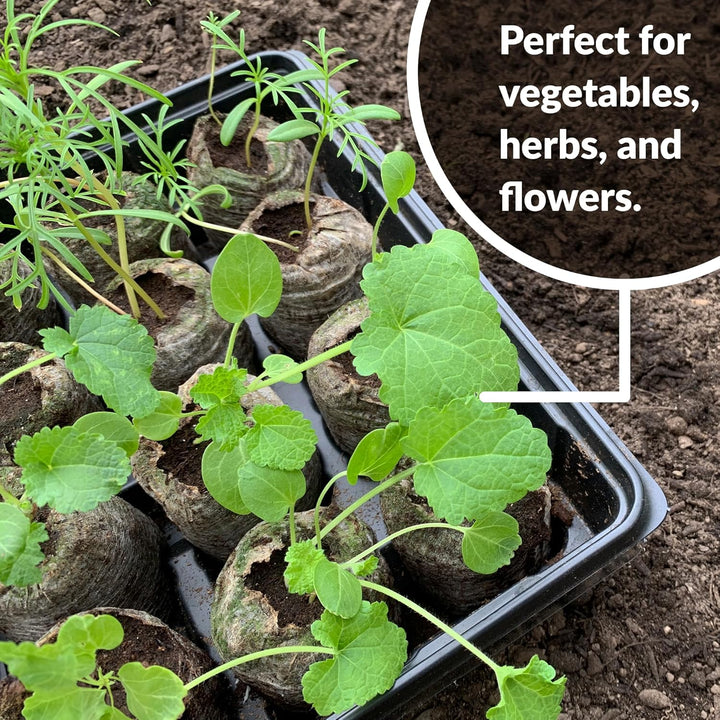 Skanto | Kokosfiber Torv Frøplante Pellets – Startpakke for Frøplante