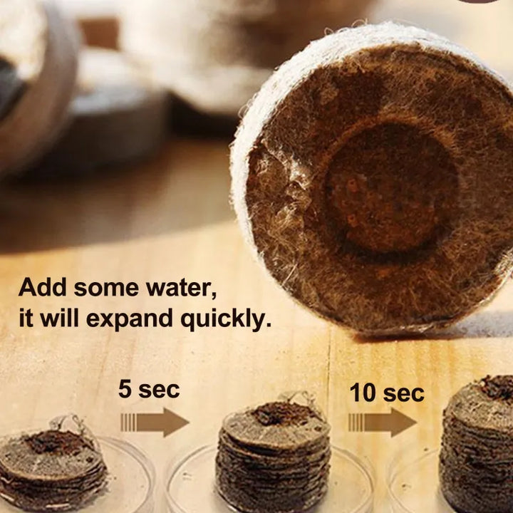 Skanto | Kokosfiber Torv Frøplante Pellets – Startpakke for Frøplante