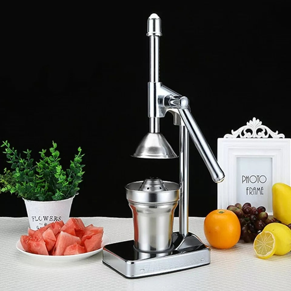 Skanto | Rustfritt Stål Fruktjuicer