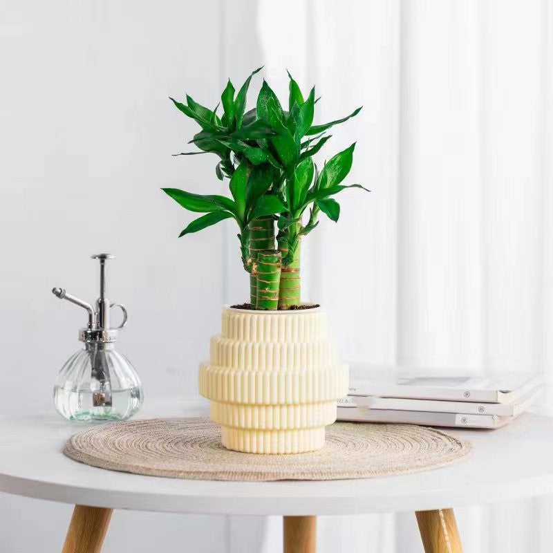 Skanto | Selvvanndende hydroponisk plantepotte – Moderne kontorinnredning