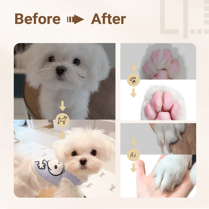 Skanto | Ultimate Pet Grooming Kit - 4-i-1 Elektriske Klippere med 4 Utbyttbare Blader