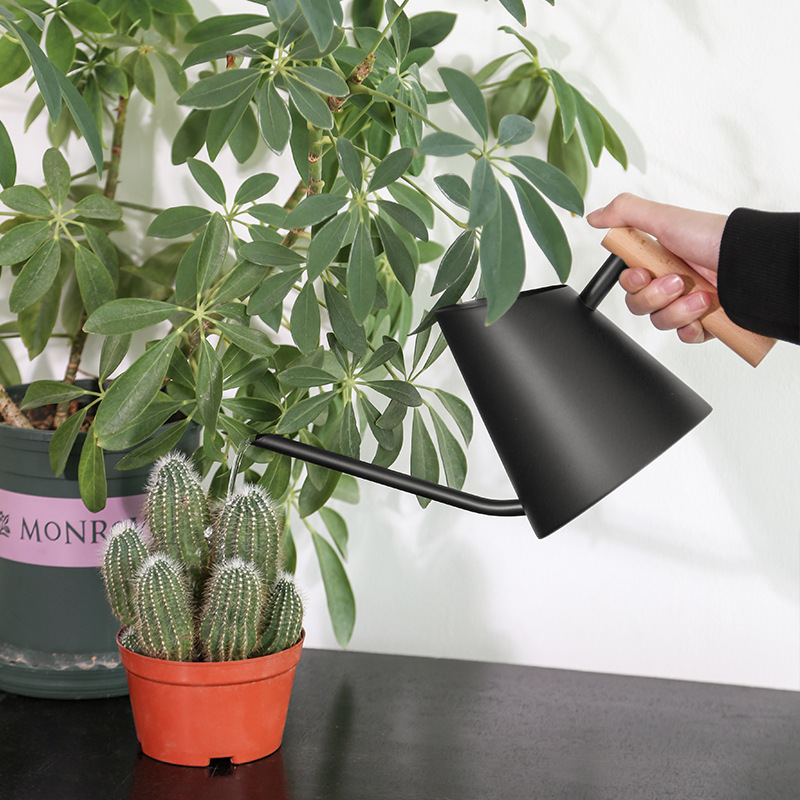 Skanto | Moderne vannkanne med trehåndtak – Stilren vannkanne for planter i hagen