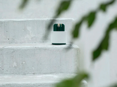 Skanto | Mygg Kaktus Lampe