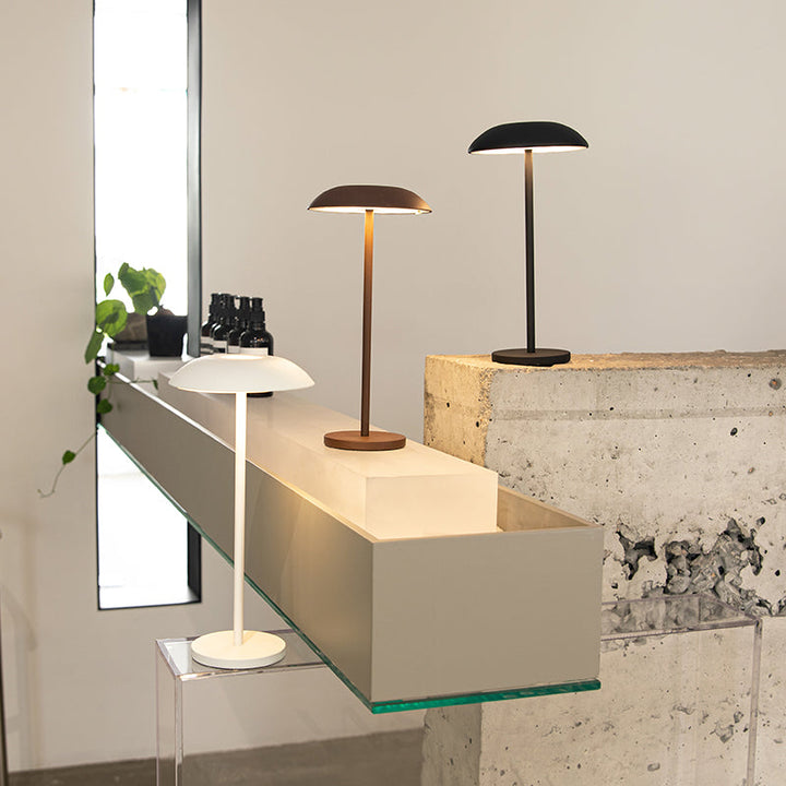 Skanto | Iron Elegance Lampe
