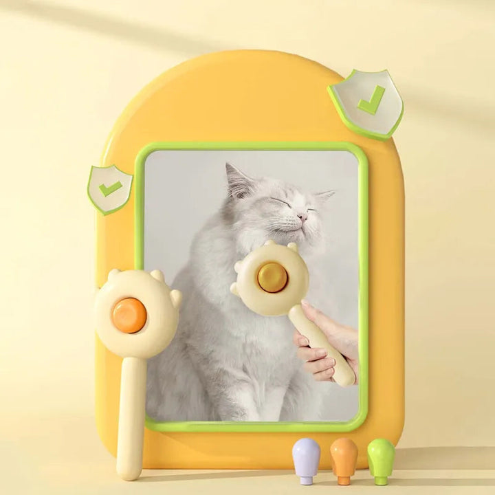 Pet kam | Skanto