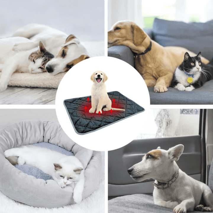 ToastyPaws Selvoppvarmende Pute for Hund