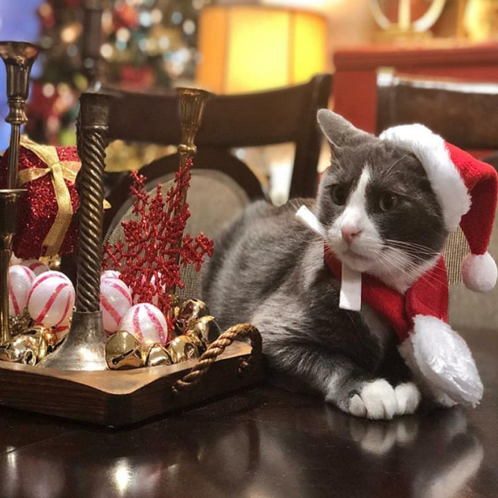 Juledekorasjon Santa-hatt med skjerf | Skanto