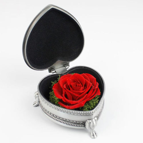 Skanto | Immortal Rose Gaveeske
