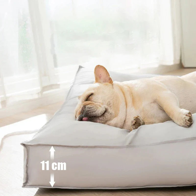 Ortopedisk Hundeseng – RelaxPfote Comfort Skanto
