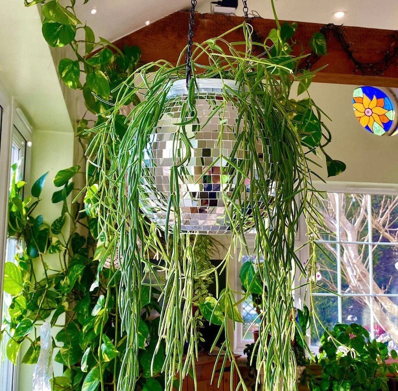 Skanto | Disco Ball Hengende Planteholder