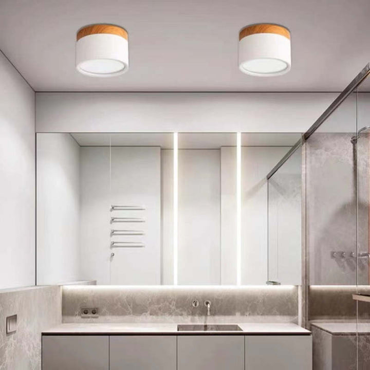 Morandi Style Modern LED Ceiling Lamp - LumiModo | Skanto