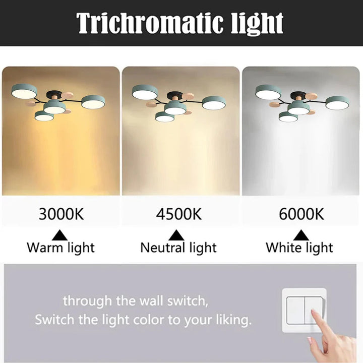 Skanto | Taklampe Modern LED Flush Mount Chandelier