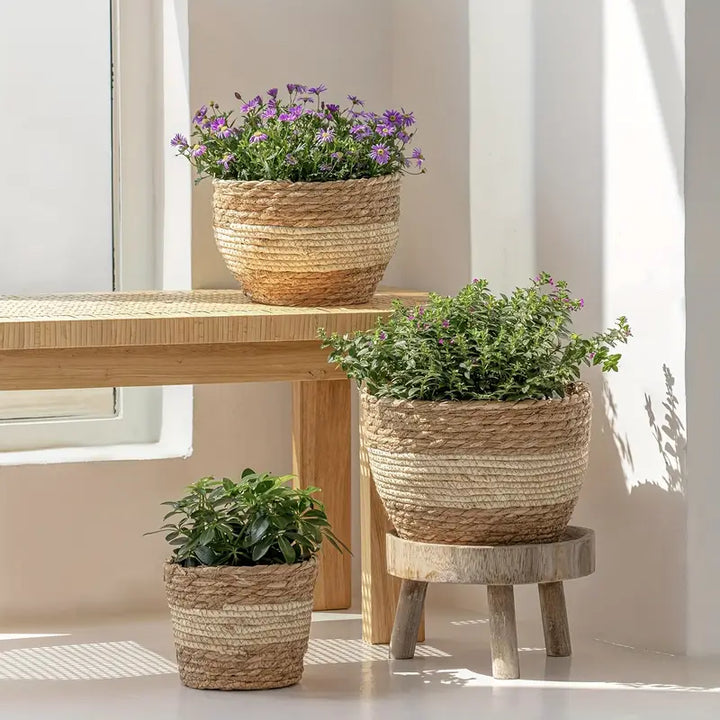 Skanto | Dekorative plantekurver laget av sjøgress i et sett med 3 – Håndvevde blomsterpotter med folieinnsats