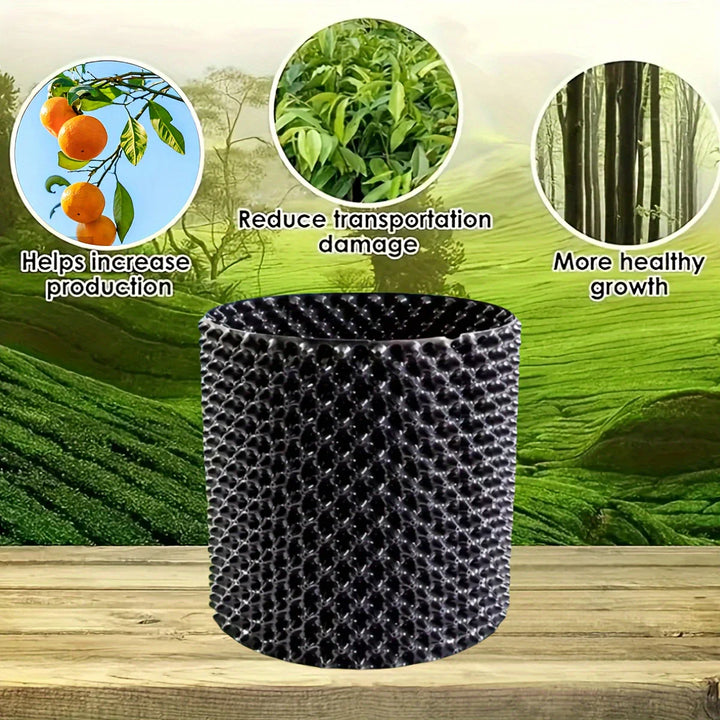 Skanto | Rotskontrollenhet for planter og landskap for å fremme sunn vekst