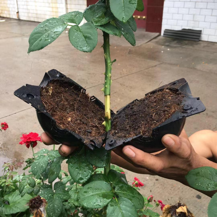Air Layer Plant Propagation Capsule | Skanto