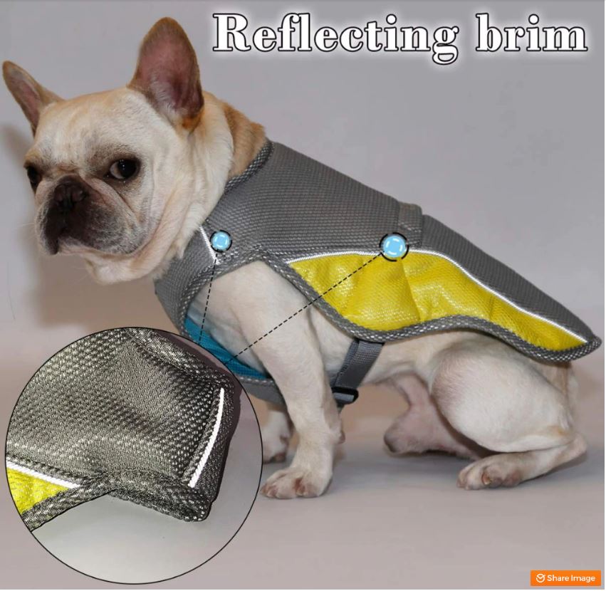 Coolify™ : Kjølevest for Fransk Bulldog (CS13) | Skanto