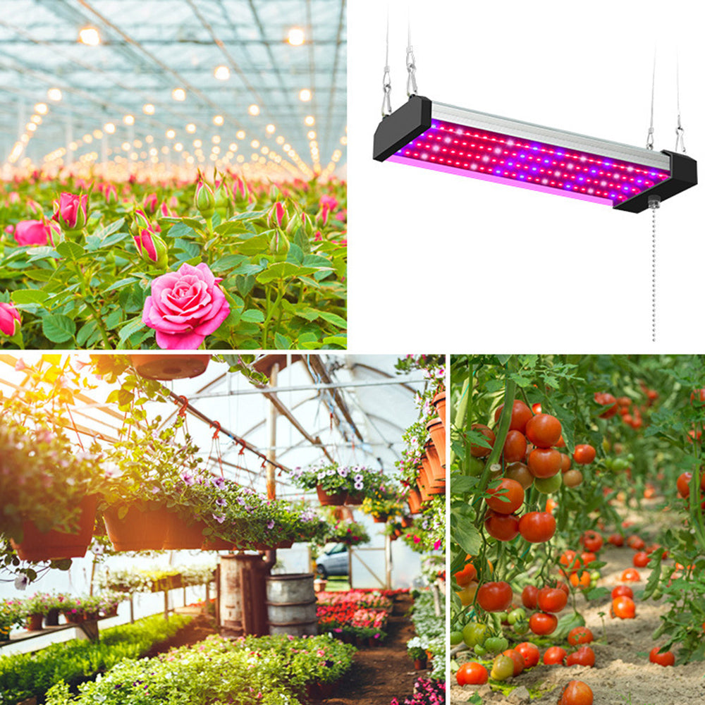 Skanto | LED plante lampe med fullspektrum belysning og trekkbryter for optimal plantevekst