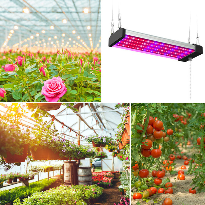 Skanto | LED plante lampe med fullspektrum belysning og trekkbryter for optimal plantevekst
